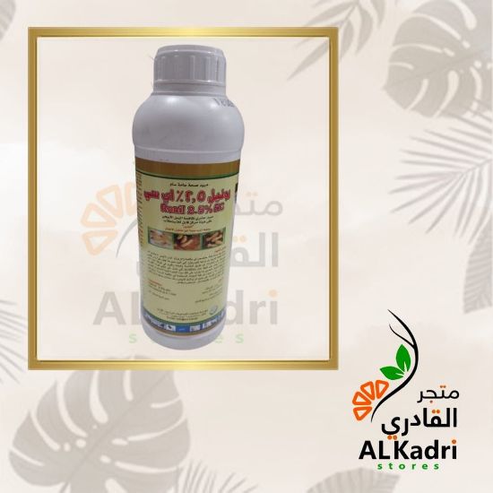 صورة رونيل