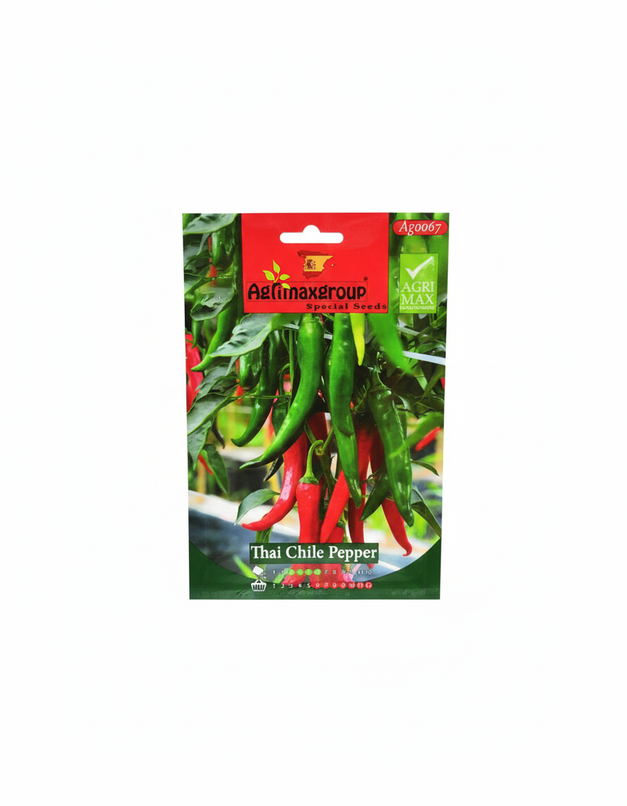 فلفل حار تايلاندي 