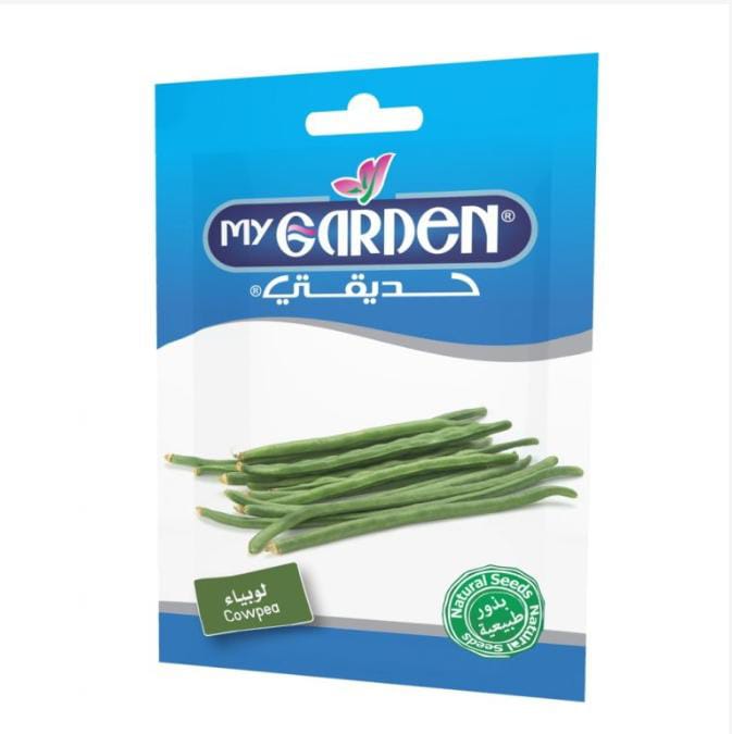 بذور فاصوليا سوداء (لوبيا) 