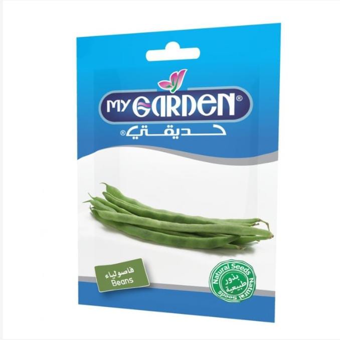 فاصوليا خضراء 