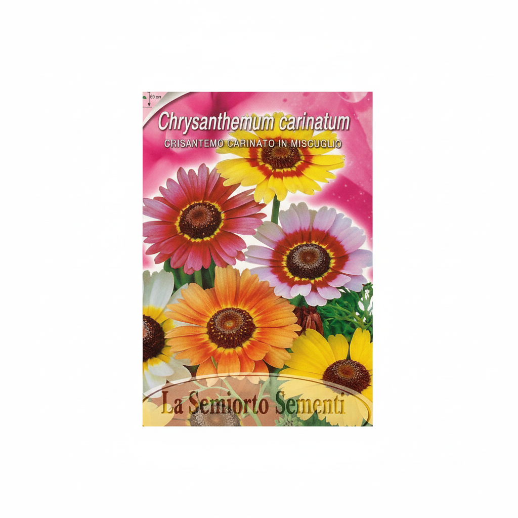 زهرة الأقحوان 