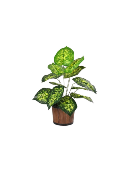 نبات ديفينباخيا صناعي