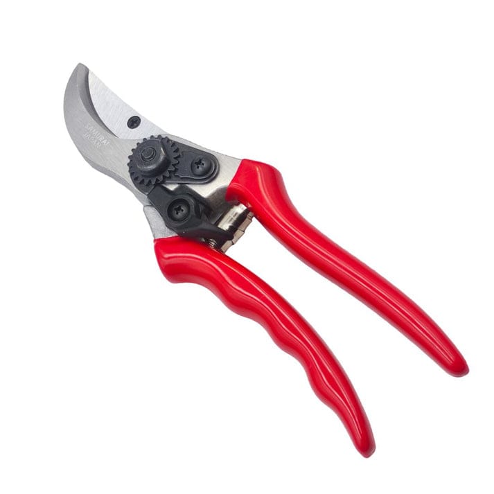 مقص شجر ساموراي الياباني 