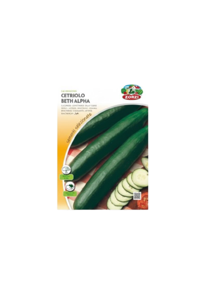 خيار بيت ألفا