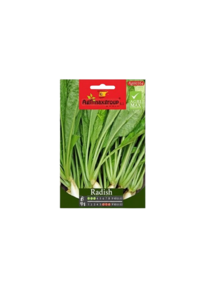 أوراق الفجل