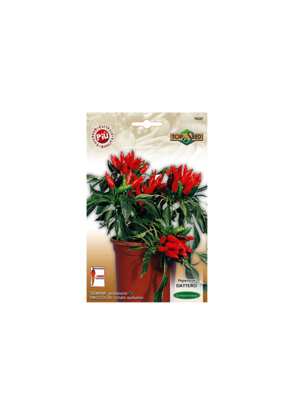 فلفل حار داتيرو 