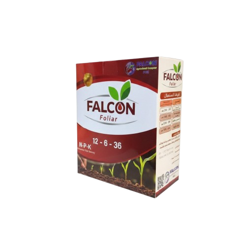 فالكون 12-6-36